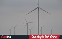 Điện than phải nhập khẩu và quá ô nhiễm, thủy điện lớn đã khai thác hết, vì đâu điện gió Việt Nam chưa thể cất cánh?