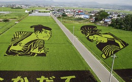 Làng thần kỳ Nhật Bản: Từ nghèo nhất đến nổi tiếng khắp cả nước, doanh số bán gạo tăng 400% nhờ biến ruộng lúa thành tranh