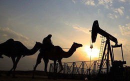 Nội bộ OPEC mâu thuẫn trước thềm cuộc họp quan trọng