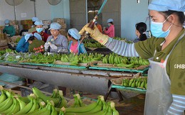 Mỹ-Trung ăn miếng trả miếng: Hàng Việt bị vạ lây