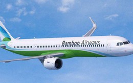 Phó Thủ tướng chỉ đạo về dự án Bamboo Airways