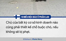 10 điều độc đáo ở Phần Lan, điều thứ 4 là mơ ước của dân văn phòng trên khắp thế giới