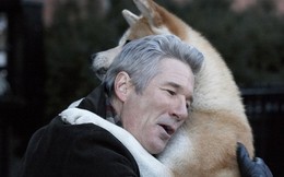 “Hachi: A Dog’s Tale”: Một chú chó có thể dạy bạn những gì, về tình yêu?