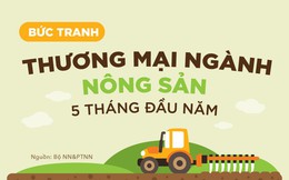 Infographic: Bức tranh thương mại nông sản 5 tháng đầu năm