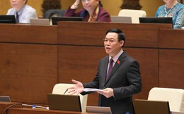 Phó Thủ tướng Vương Đình Huệ: Đặc khu có tính chất và nhiệm vụ đặc biệt nên cán bộ cũng phải đặc biệt