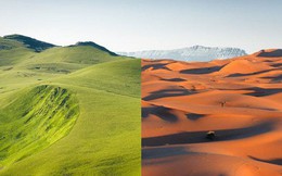 Những sự thật ít người biết về sa mạc Sahara - nóng bỏng, điên rồ nhưng kỳ diệu bậc nhất hành tinh