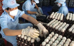 Nhìn từ thương vụ Ba Huân - VinaCapital: Doanh nghiệp Việt ra biển lớn bằng thúng chai!