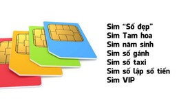 Những sim số đẹp nào đang được rao bán tiền tỷ trên thị trường?