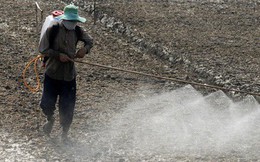 Tai tiếng Monsanto: Hồi chuông cảnh tỉnh cho Việt Nam