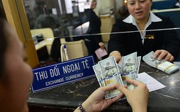 USD biến động: Kẻ cười, người khóc