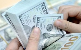 Siết tín dụng ngoại tệ: Ngân hàng nào đang “ôm” cho vay USD nhiều nhất?
