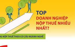 [Infographics] Điều ít biết về Top doanh nghiệp nộp thuế nhiều nhất