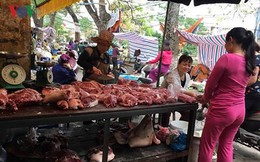 Giá thịt lợn còn duy trì ở mức cao trong thời gian dài?