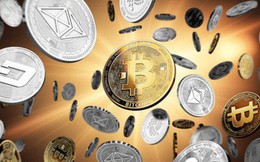 Đợt giảm giá tiền ảo đã tệ hơn vụ nổ bong bóng dotcom