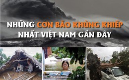 [Infographics] Những cơn bão khủng khiếp nhất Việt Nam gần đây