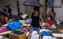 Hồng Kông bắt đầu dọn dẹp núi rác do siêu bão Mangkhut để lại