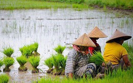 Việt Nam và 7 nước ASEAN có nền kinh tế mới nổi vượt trội nhất thế giới