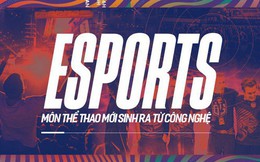 Sự trỗi dậy của eSports: môn thể thao hoàn toàn mới sinh ra từ công nghệ