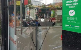 Chính phủ chỉ đạo trục xuất du khách kinh doanh "chui" ở Việt Nam