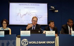 WB: Việt Nam là một trong những quốc gia đi đầu về thu hút vốn FDI