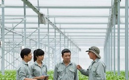 VinEco: Ở đâu cũng nhắc đến nông nghiệp thông minh nhưng công nghệ “Made in Vietnam” chưa nhiều