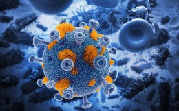 Chủng virus kì diệu này có thể tăng cường hệ miễn dịch, đồng thời tấn công khối u ung thư