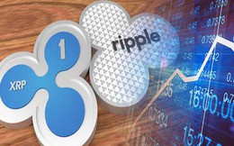 Nghịch lý đằng sau đà tăng giá phi mã của đồng tiền số ripple
