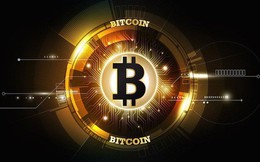 Nhóm người nắm giữ 14% tổng nguồn cung bitcoin và ethereum trên toàn cầu là ai?