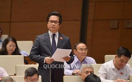 Hiệp định CPTPP: 'Không thể không lo lắng'