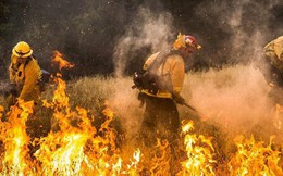 Vì sao quá nhiều người mất tích trong thảm họa cháy rừng California