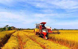 Nhìn lại 10 năm thực hiện tam nông và mục tiêu ngành nông nghiệp Việt Nam sẽ vào top 15 thế giới