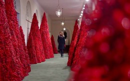 Trang trí Giáng sinh cho Nhà Trắng, bà Melania Trump gây tranh cãi khi sử dụng toàn cây thông màu đỏ