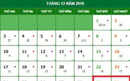Lịch nghỉ Tết Dương lịch 2019 chính thức và cách tính lương ngày lễ, Tết