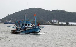 Khắc phục "thẻ vàng" IUU: Phát triển nghề cá theo thông lệ quốc tế