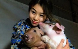 Việc nhẹ lương cao dành cho phái đẹp: Cô gái trẻ kiếm 3 tỉ đồng mỗi năm nhờ việc "hôn" lợn