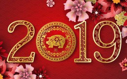 Dự báo phong thủy: Năm Kỷ Hợi 2019, những con giáp nào được thần tài chiếu cố nhất?