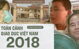 Giáo dục Việt Nam 2018: Chưa bao giờ xảy ra nhiều bê bối dâm ô, đánh đập học sinh như vậy!