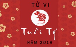 Chi tiết tử vi tuổi Tý năm 2019: Vượng vận quý nhân, sự nghiệp thăng tiến, đầu tư chừng mực, ứng biến tuỳ cơ