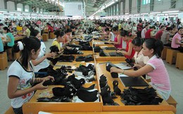 Trà Vinh: Hơn 10.000 công nhân Công ty TNHH Giày da Mỹ Phong mất việc trước Tết