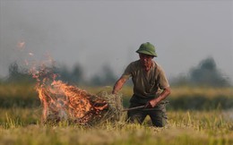 Khói đốt rơm rạ đang bủa vây ngoại thành Hà Nội