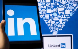 Không phải Facebook, LinkedIn mới là mạng xã hội nhiều ứng viên cao cấp người Việt chọn để xây dựng thương hiệu cá nhân