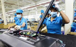 Chuyển hồ sơ vụ Asanzo sang Công an để truy cứu trách nhiệm hình sự
