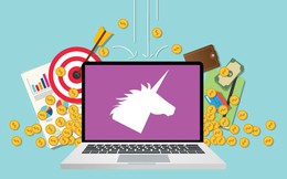 Trong 4 năm, 37 tỷ USD vốn được rót, 3.000 startup internet mọc lên tại Đông Nam Á nhưng chỉ có 11 unicorn, 1 "kỳ lân" đến từ Việt Nam, Tiki và Sendo lọt top “triển vọng”