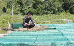 Quảng Bình: Chàng thanh niên làm giàu từ nuôi cá chình