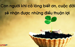 Khoa học giải thích tại sao "biết ơn" là chìa khóa kéo dài tuổi thọ, hạn chế đau khổ và tăng cường sức khỏe