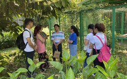 Bệnh viện Gia An 115 giao trả một cá thể mèo rừng cho Trung tâm Bảo tồn động vật hoang dã tại Việt Nam, Vườn Quốc gia Cát Tiên