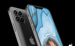 Apple sẽ ra mắt chiếc iPhone to nhất từ trước đến nay vào năm 2020