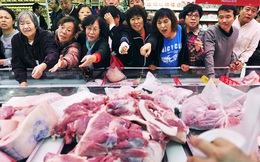Khủng hoảng dịch tả lợn châu Phi tại Trung Quốc đã qua thời kỳ tồi tệ nhất?
