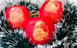 Gần nửa triệu đồng một quả táo phiên bản 'Merry Christmas'