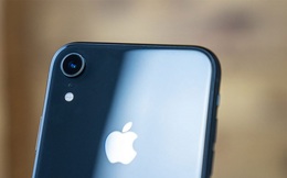iPhone XR quá thành công khi liên tiếp đạt "đỉnh" , Apple có thể học được gì?